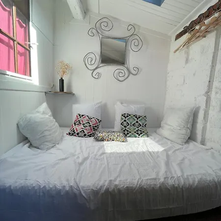 Petit Nid Sur Les Toits