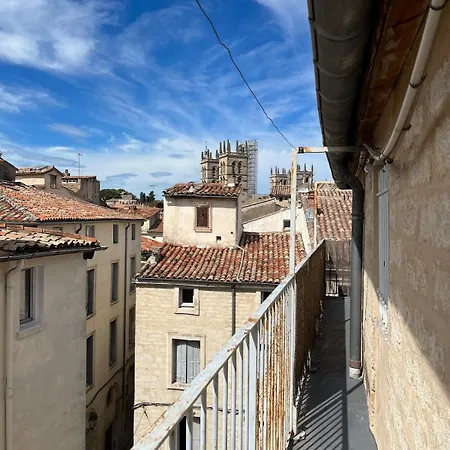 Petit Nid Sur Les Toits Apartment Montpellier