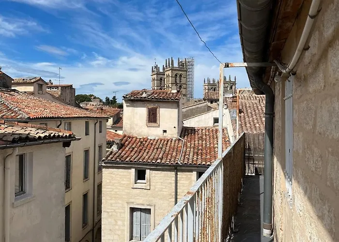 Petit Nid Sur Les Toits Apartment Montpellier