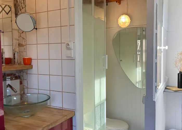 Petit Nid Sur Les Toits *