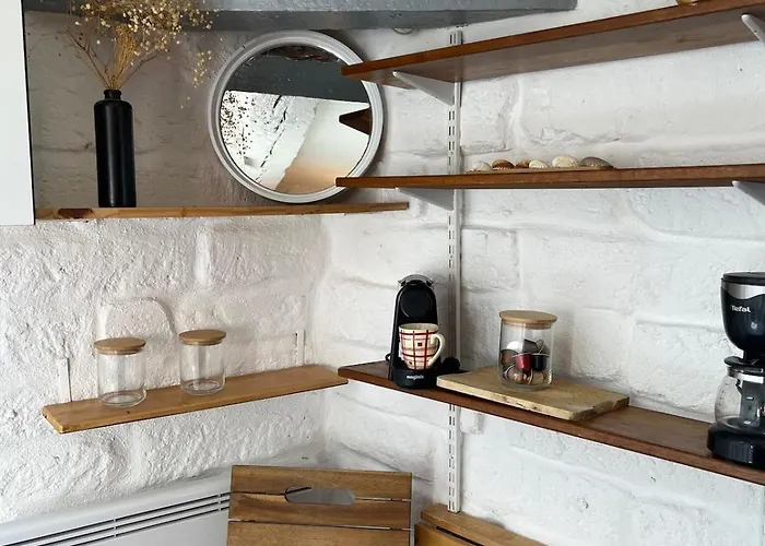 Petit Nid Sur Les Toits