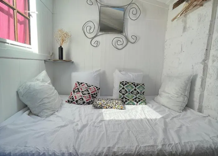 Petit Nid Sur Les Toits