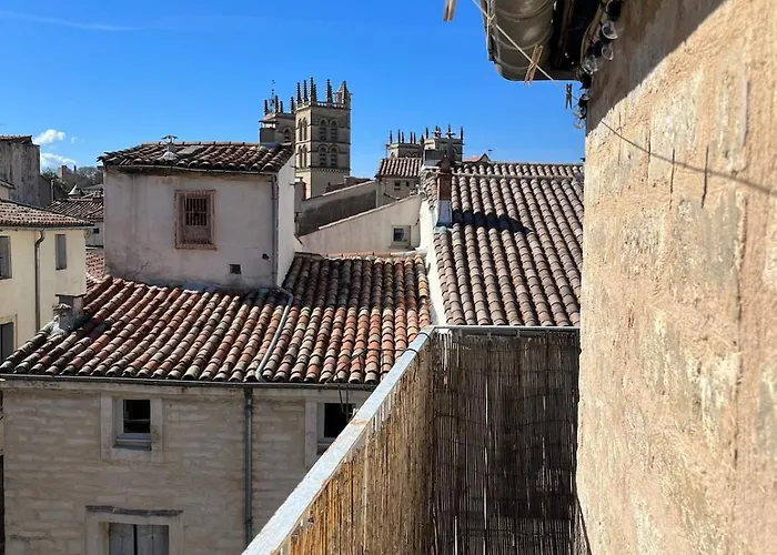 Petit Nid Sur Les Toits *